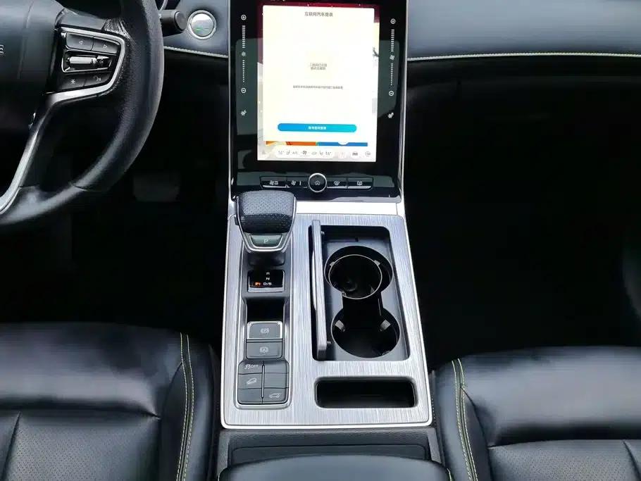 Roewe RX5 2021 PLUS 300TGI Automatic Ali National Trend Flagship Ronglin Edition — миниатюра 16