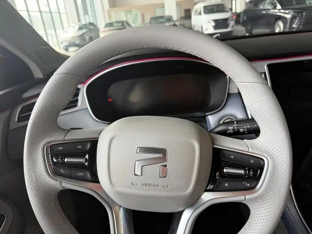 Feifan ER6 2020 Model 620km Smart Edition — миниатюра 31