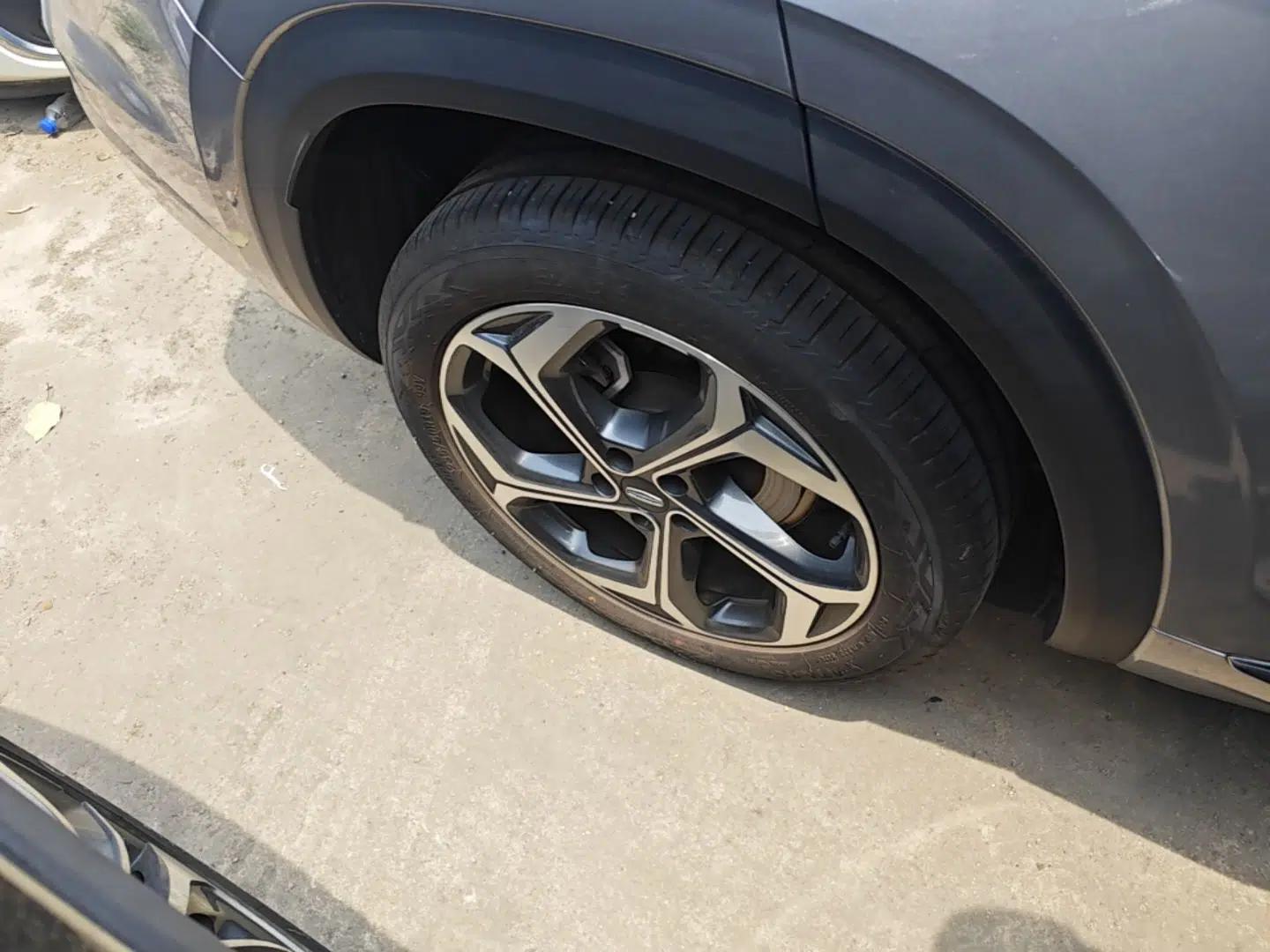 Geely Auto Monjaro L 2024 2.0TD DCT EVO Two-Wheel Drive Long-Range Version — миниатюра 11