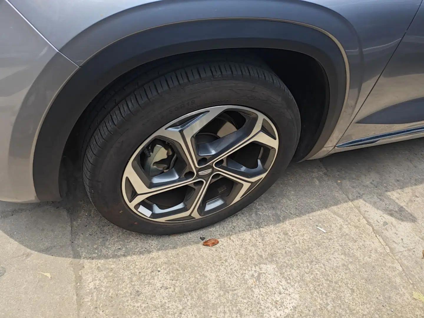 Geely Auto Monjaro L 2024 2.0TD DCT EVO Two-Wheel Drive Long-Range Version — миниатюра 10