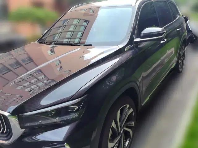 Geely Auto Monjaro L 2024 2.0TD High-Power Automatic Two-Wheel Drive Skyline Edition