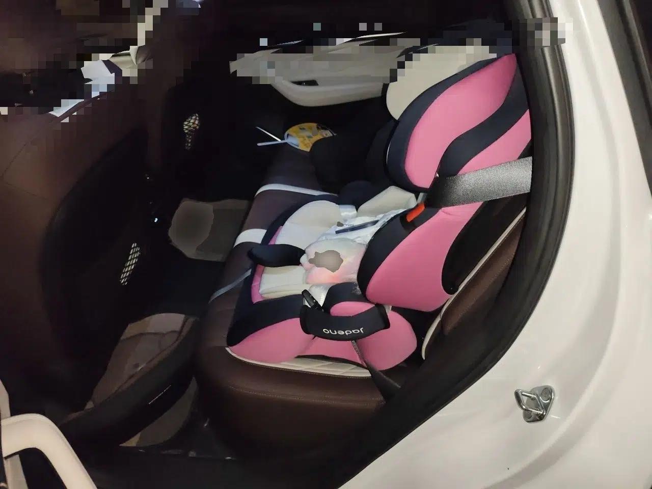 Geely Auto Monjaro L 2021 2.0TD DCT EVO Two-Wheel Drive Prestige Version — миниатюра 17