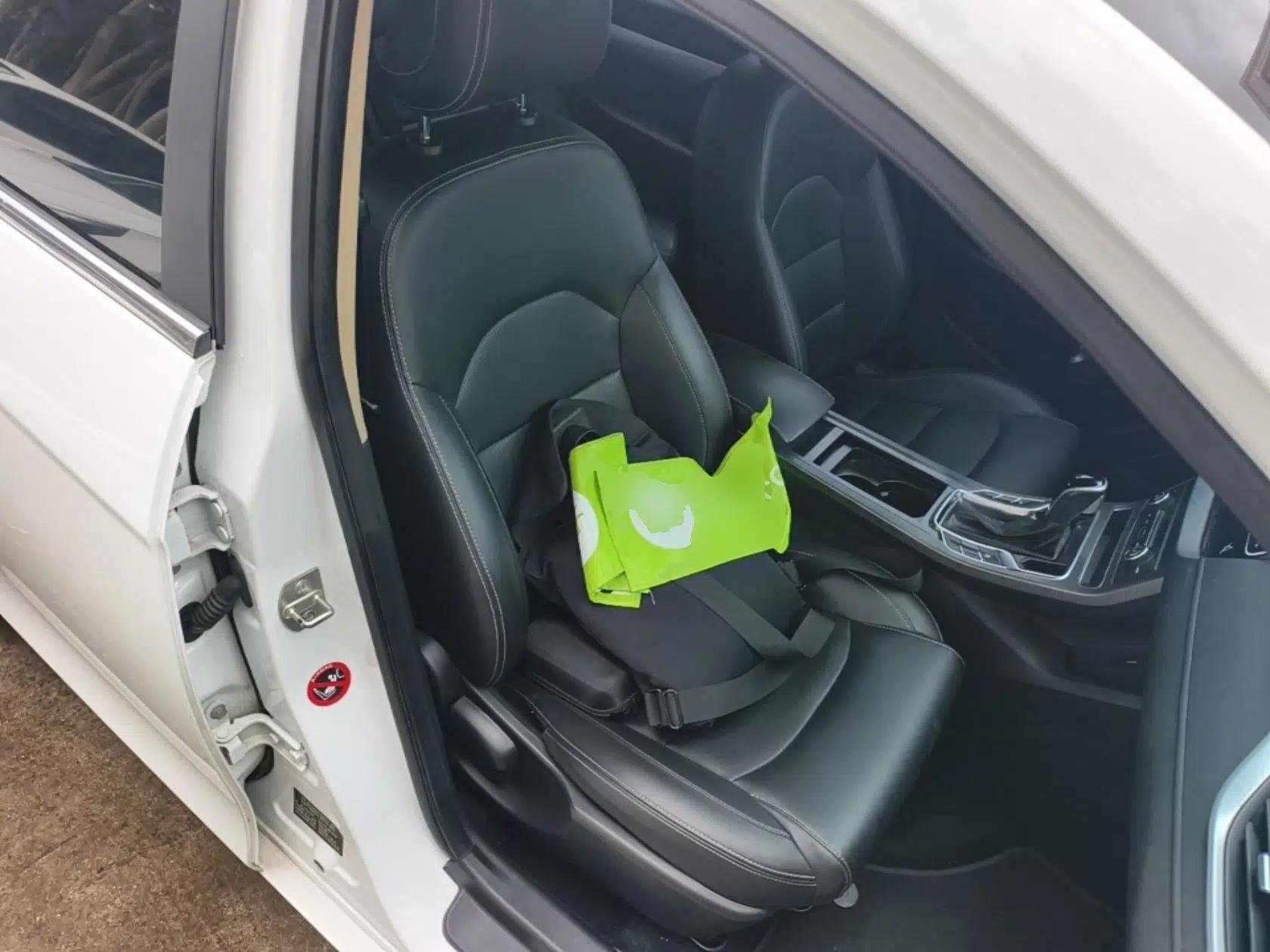 Geely Auto Emgrand 2018 1.5L CVT Upward Connect Edition — миниатюра 24