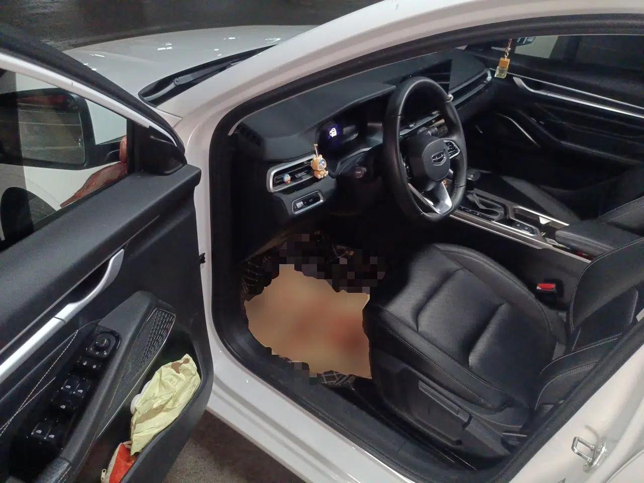 Geely Auto Emgrand 2022 4th Generation 1.5L CVT Luxury Model — миниатюра 16