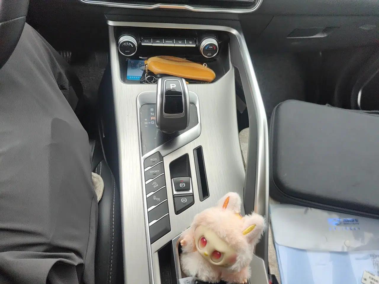 Geely Auto Coolray 2019 260T DCT Knight China VI Standard — миниатюра 11