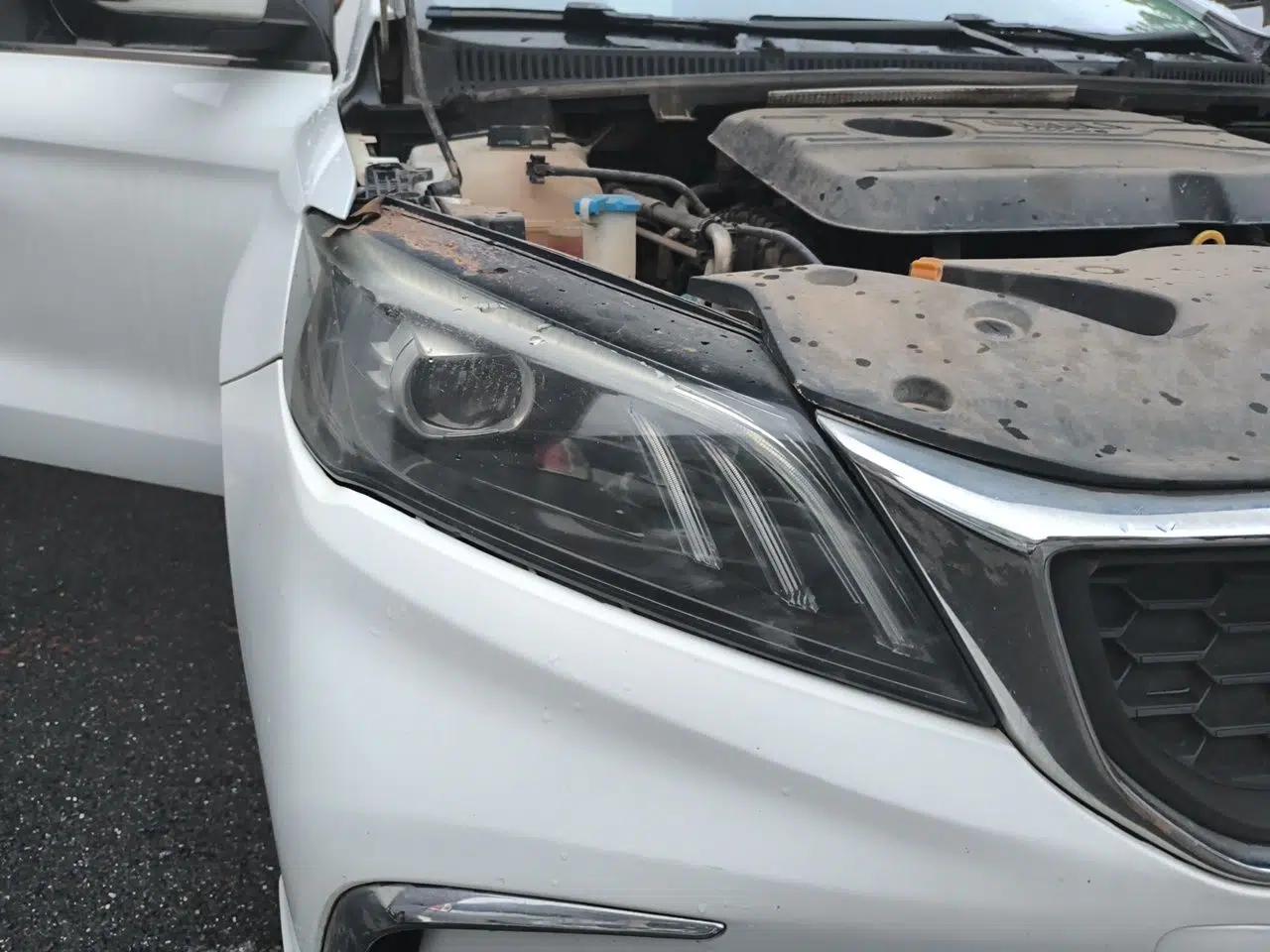 Geely Auto Binray 2021 1.4T CVT Asian Games Edition — миниатюра 7