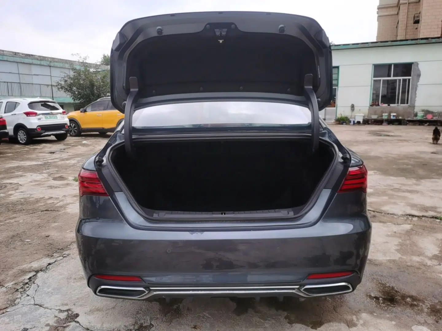Geely Auto Binray 2018 14T CVT Binyi Edition — миниатюра 22