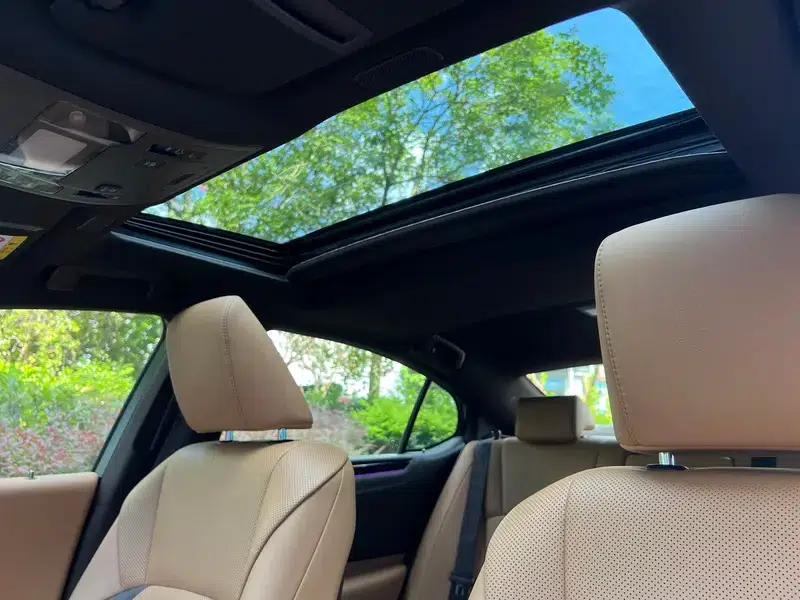 Lexus ES 2018 200 Luxury Edition (China V emission standard) — миниатюра 29