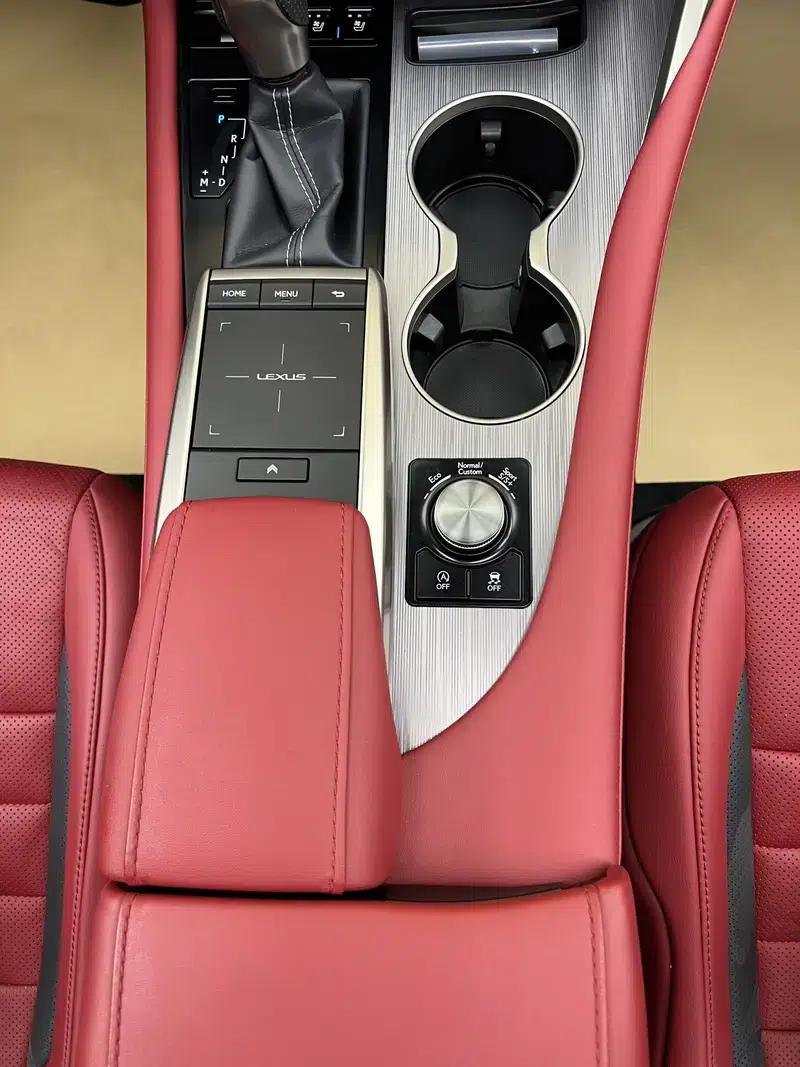 Lexus RX 2020 300 AWD F Sport (China VI Emission Standard) — миниатюра 13