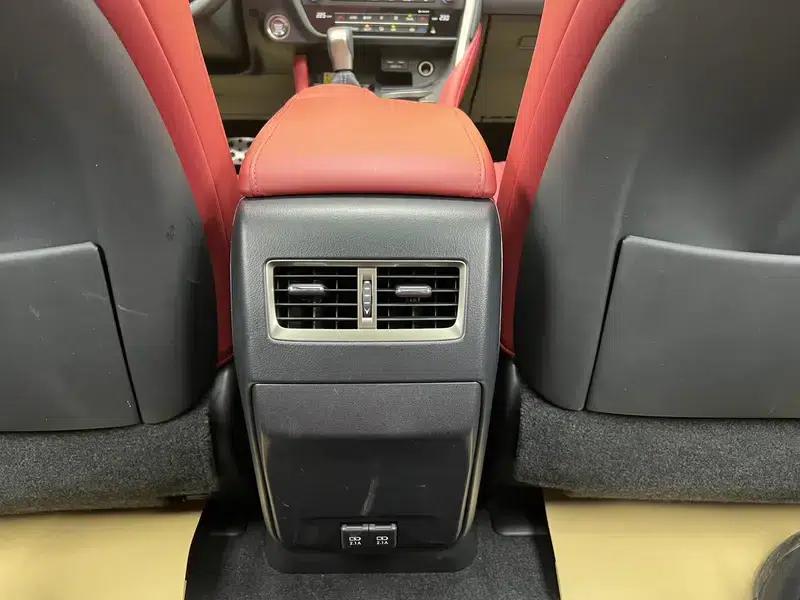 Lexus RX 2020 300 AWD F Sport (China VI Emission Standard) — миниатюра 14