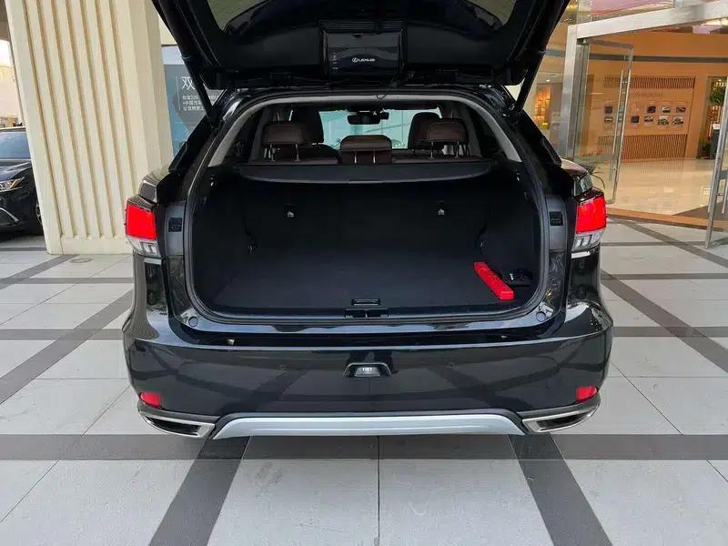 Lexus RX 2020 Facelift 300 AWD Elegant Edition — миниатюра 13