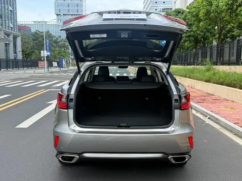 Lexus RX 2016 300 2WD Comfort Edition (China VI Emission Standard) — миниатюра 17