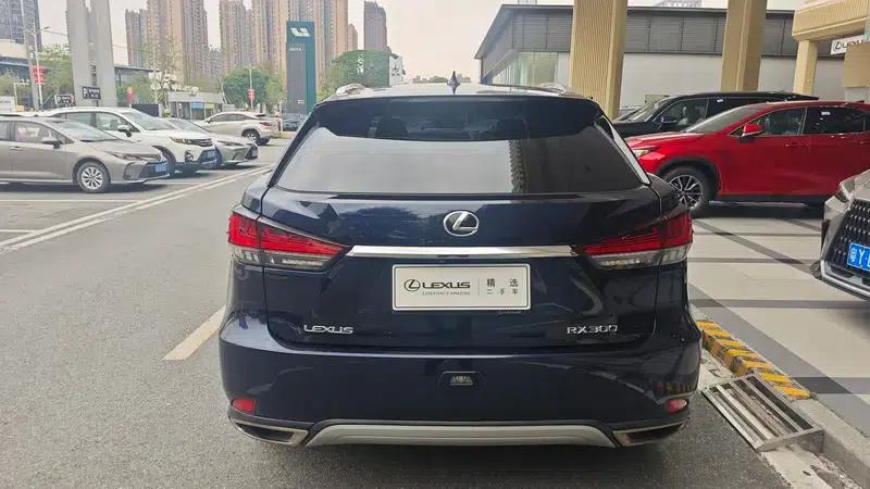 Lexus RX 2020 300 AWD Elegant Edition (China VI Emission Standard) — миниатюра 5