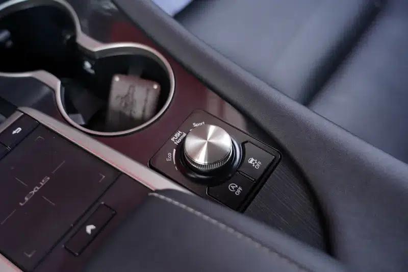 Lexus RX 2020 300 2WD Elite Edition (China VI Emission Standard) — миниатюра 5