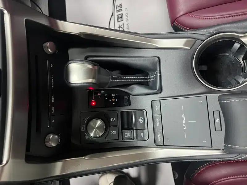 Lexus NX 2020 200 FWD Sport Edition (China V Emission Standard) — миниатюра 19