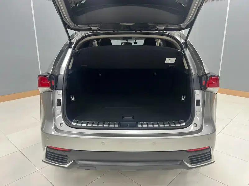 Lexus NX 2020 200 FWD Sport Edition (China V Emission Standard) — миниатюра 25
