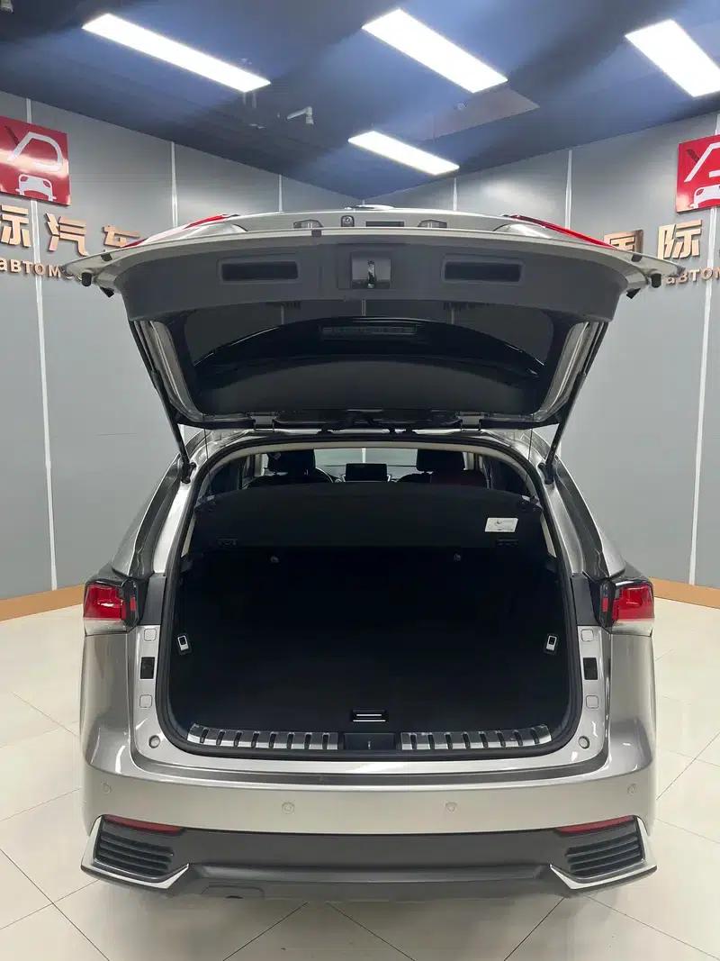 Lexus NX 2020 200 FWD Sport Edition (China V Emission Standard) — миниатюра 7