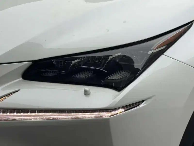 Lexus NX 2015 300h AWD Premium Edition — миниатюра 5