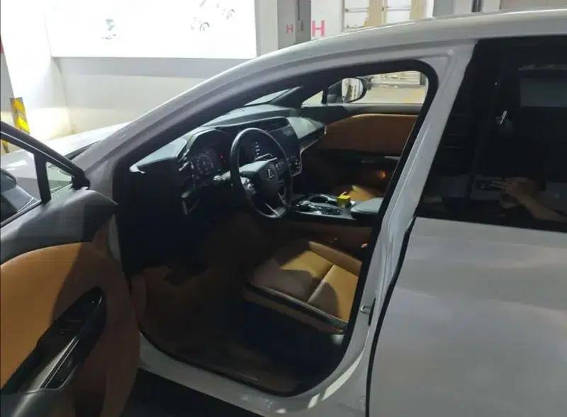 Lexus RZ 2023 450e DIRECT4 Luxury Edition — миниатюра 14