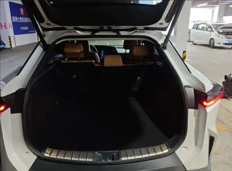 Lexus RZ 2023 450e DIRECT4 Luxury Edition — миниатюра 16
