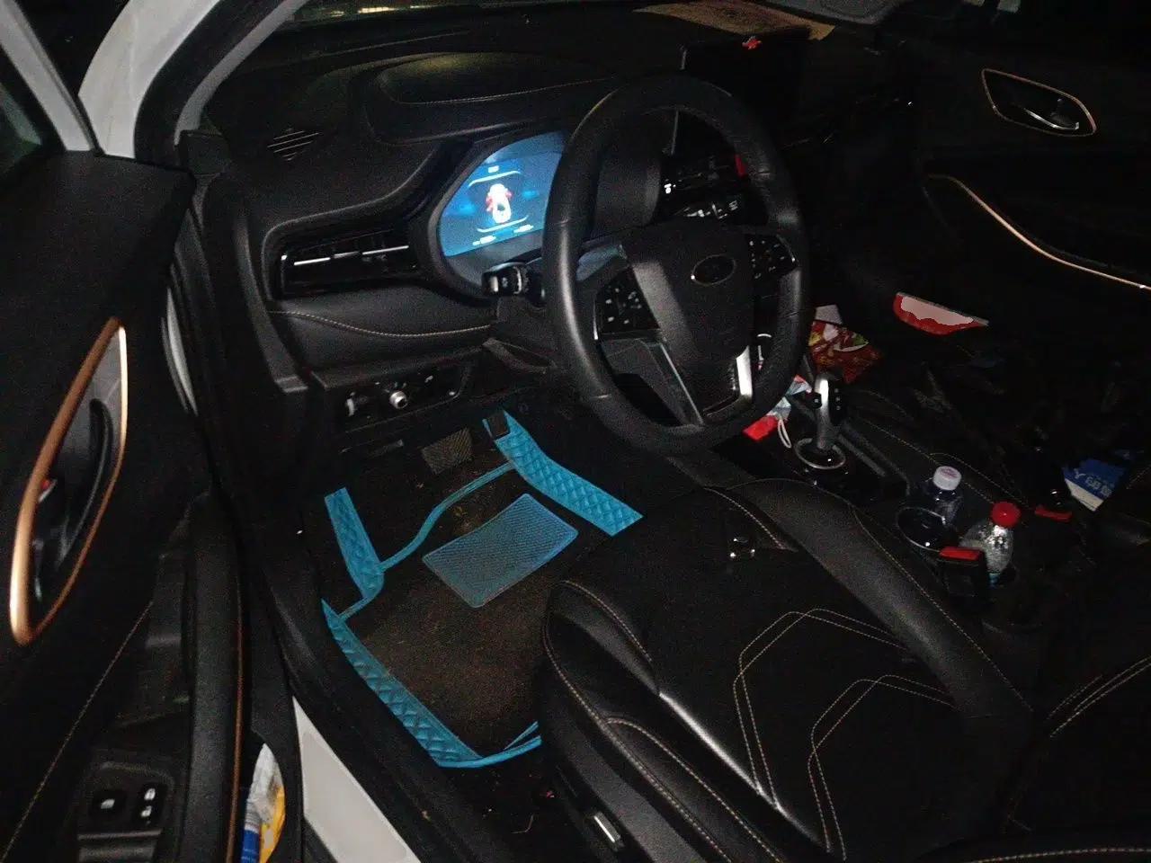 JAC Group iEVS4 2019 Luxury Smart Enjoyment Model — миниатюра 16