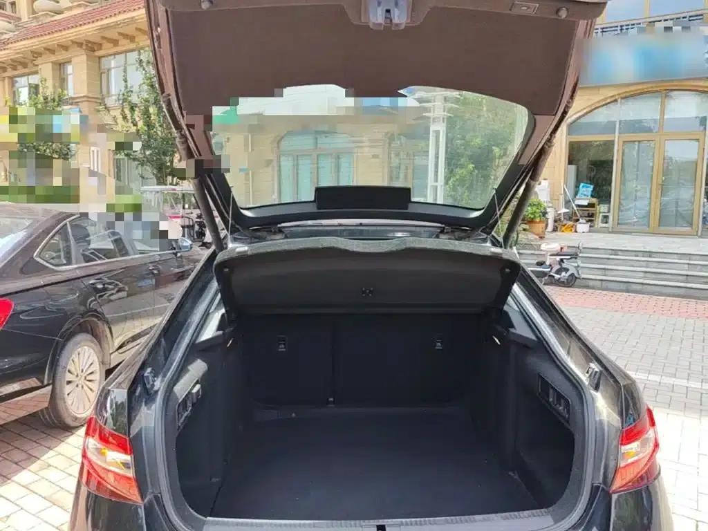 Superb 2018 TSI330 DSG Luxury Edition (National V Emission Standard) — миниатюра 19
