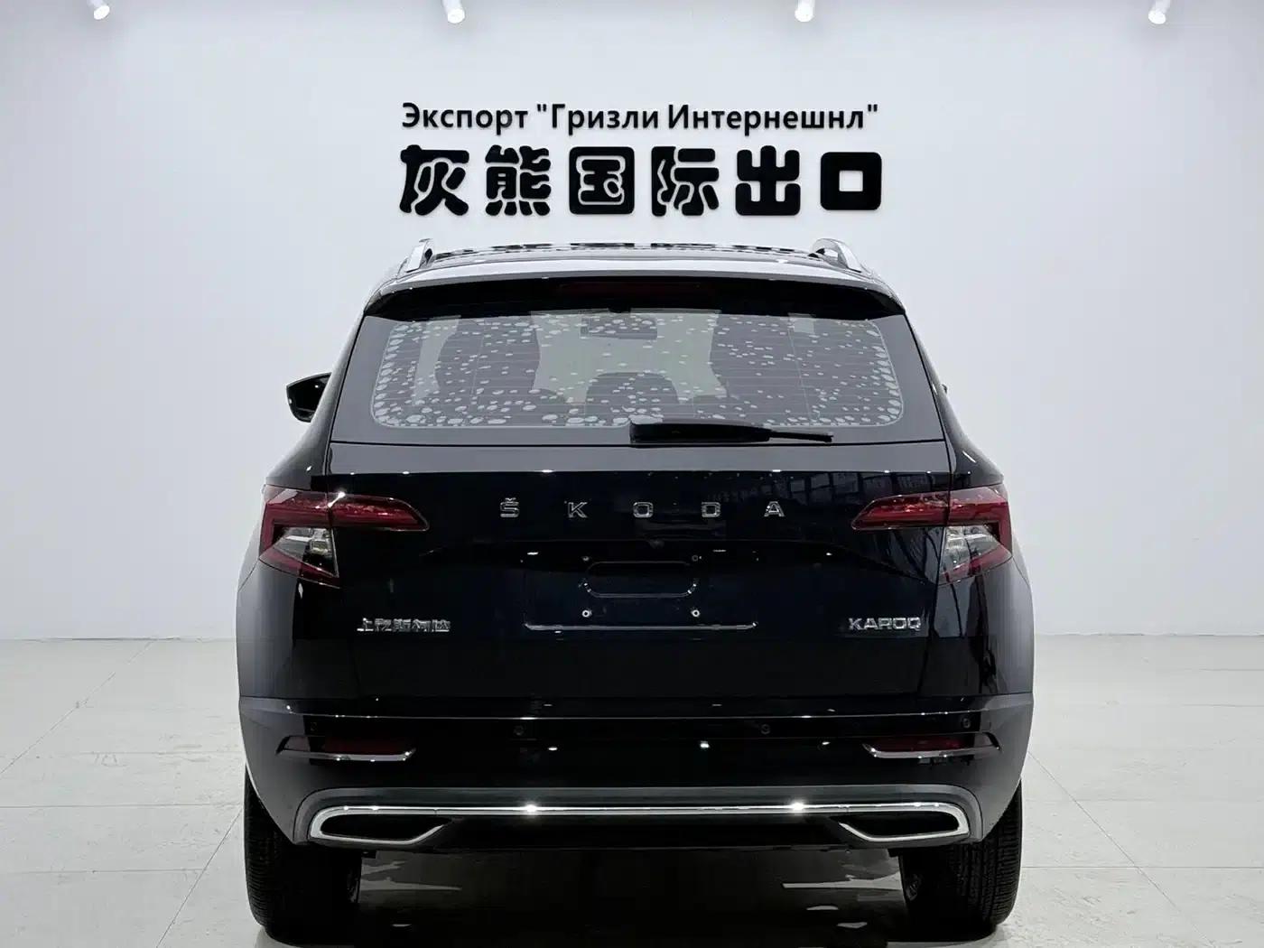 Karoq 2022 TSI280 Premium Edition — миниатюра 5