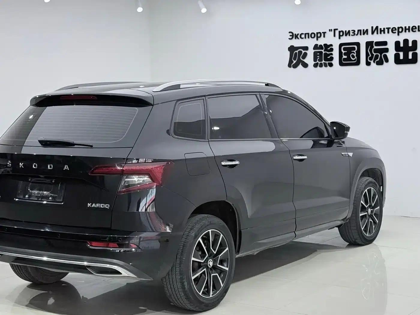 Karoq 2022 TSI280 Premium Edition — миниатюра 4