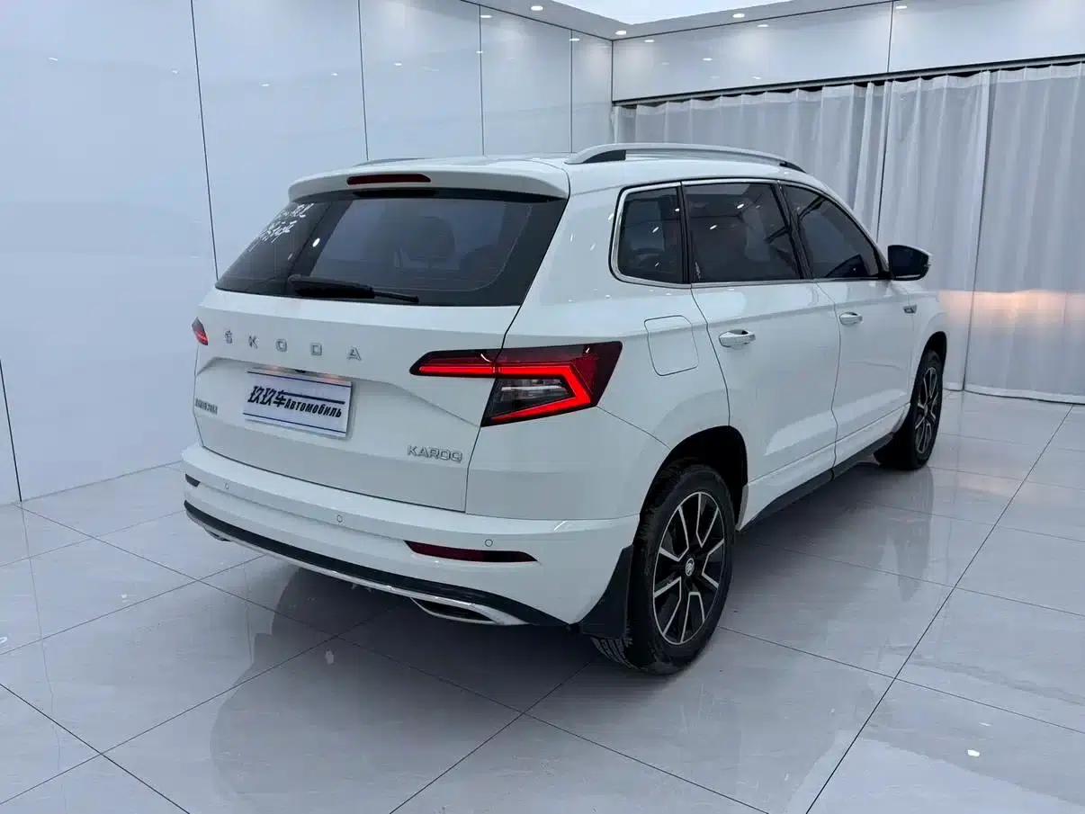 Karoq 2021 TSI280 Luxury Edition — миниатюра 6