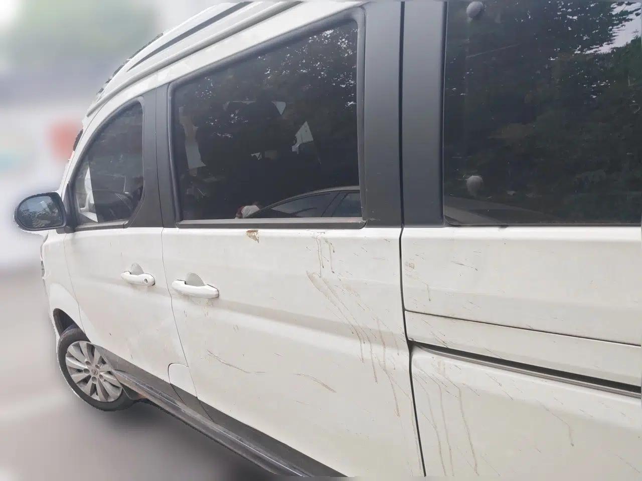 Jinbei Gold Hiace M Classic 2023 Panda Edition 1.5L Travel Lion Passenger Van 5/6/7 Seats — миниатюра 4