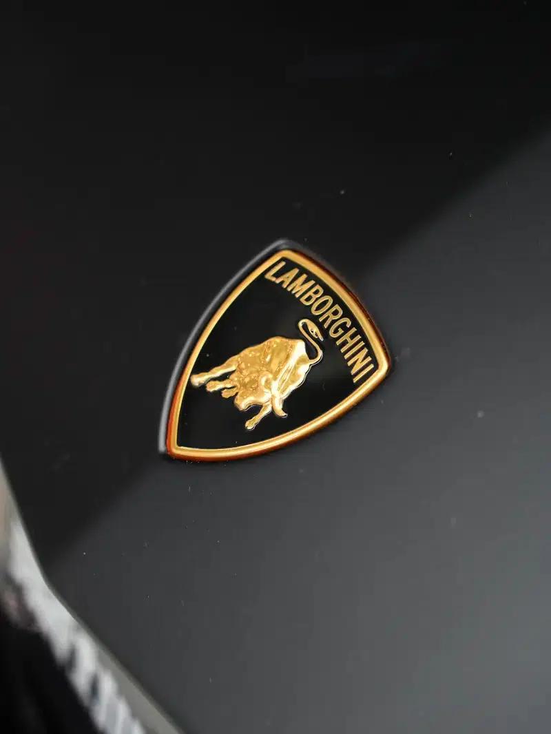 2023 Revuelto Standard Model — миниатюра 6