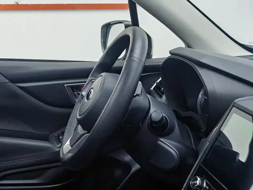 Forester 2019 2.0i Luxury Edition EyeSight — миниатюра 22