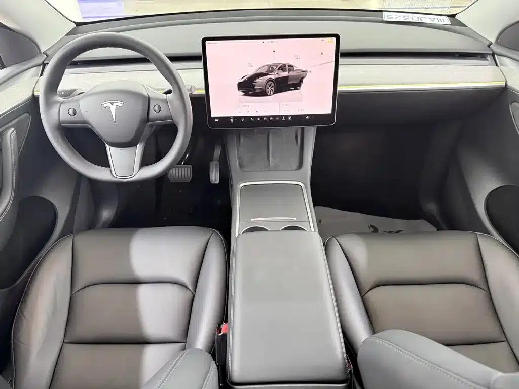 Model Y 2023 Long Range All-Wheel Drive — миниатюра 9