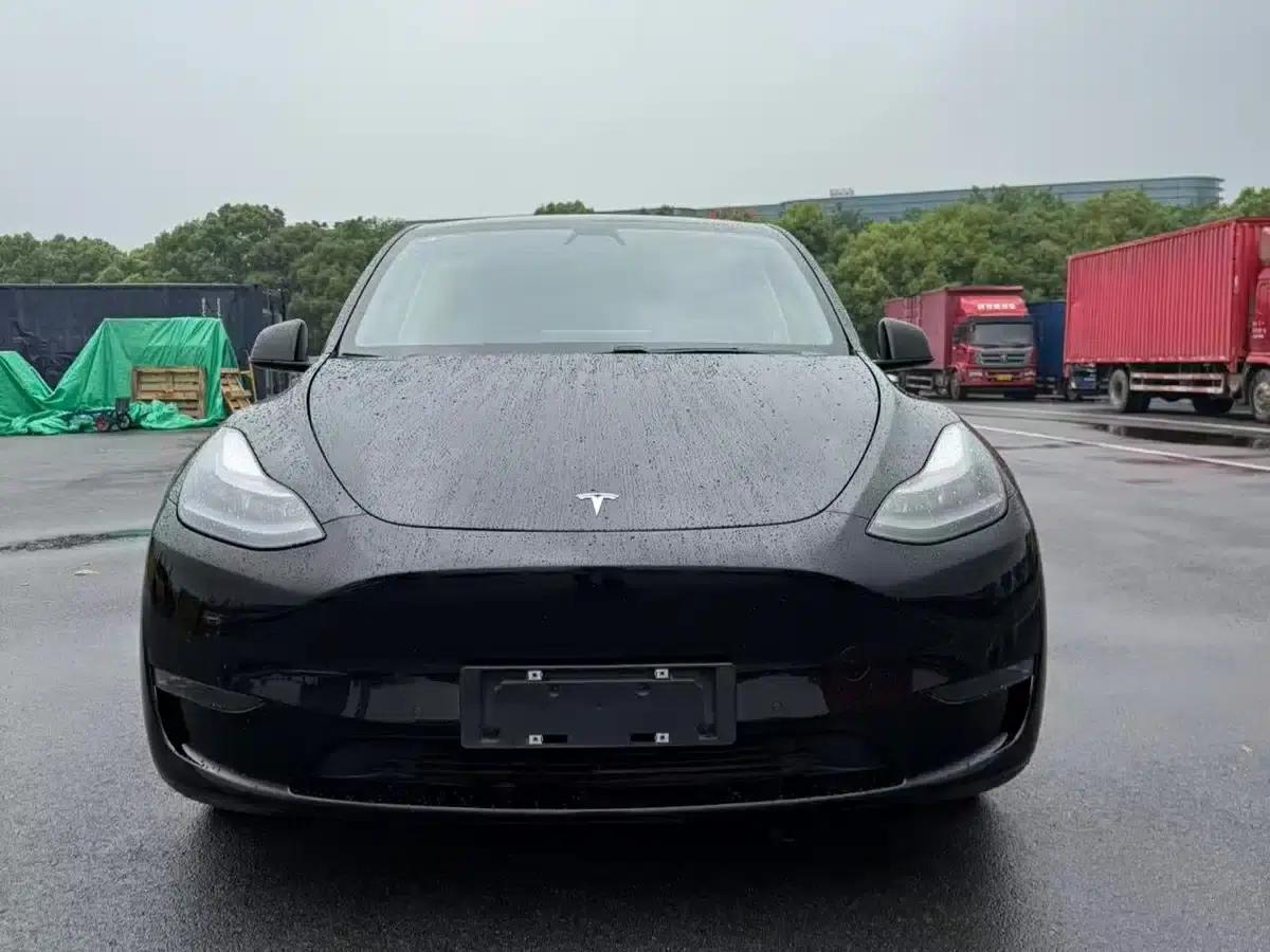 Model Y 2021 Standard Range Rear-Wheel Drive — миниатюра 1