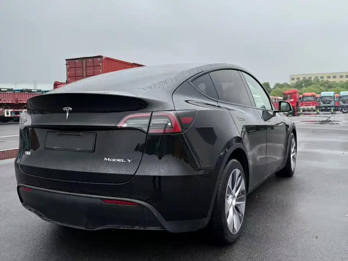 Model Y 2021 Standard Range Rear-Wheel Drive — миниатюра 2
