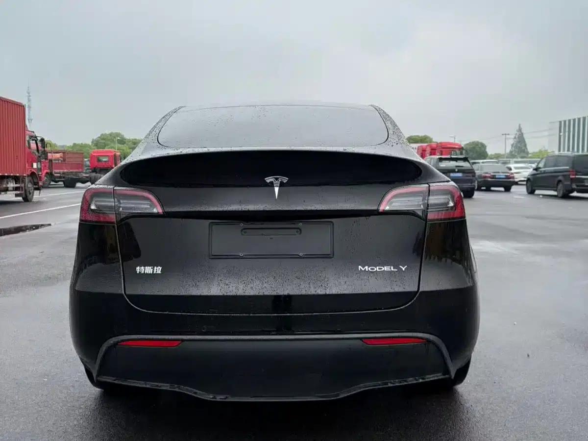 Model Y 2021 Standard Range Rear-Wheel Drive — миниатюра 5
