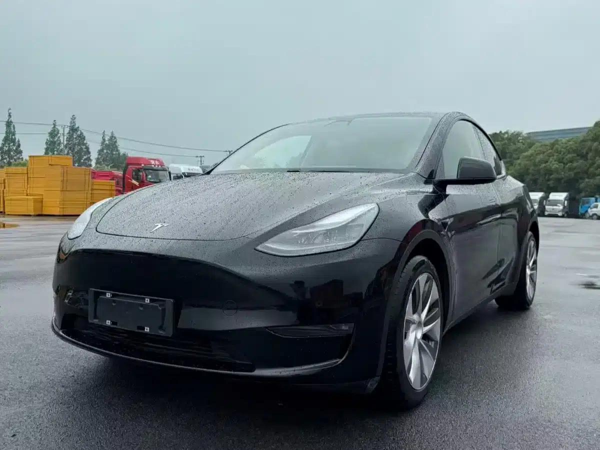 Model Y 2021 Standard Range Rear-Wheel Drive — миниатюра 6