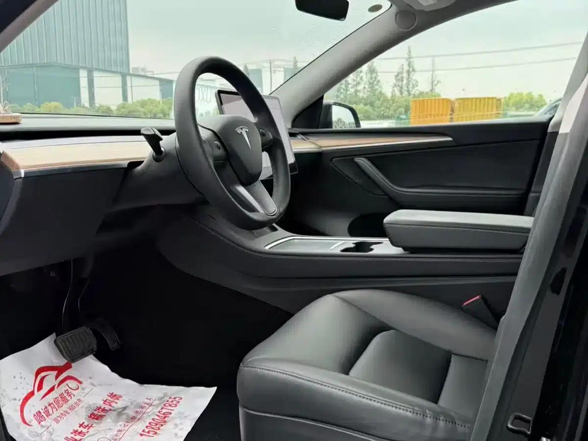 Model Y 2021 Standard Range Rear-Wheel Drive — миниатюра 8