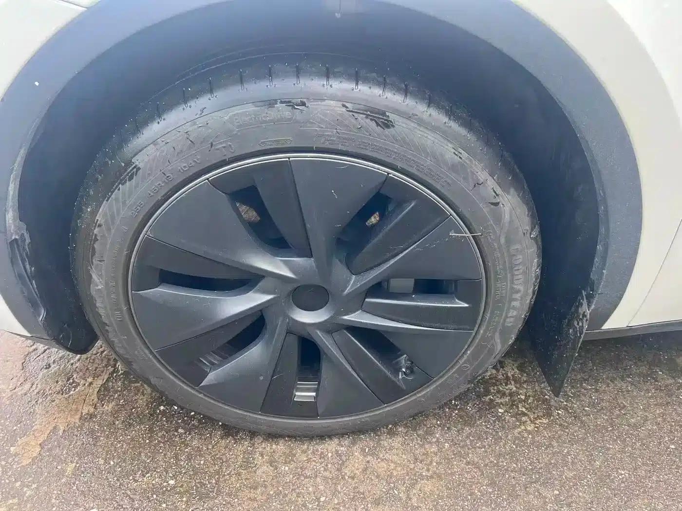 Model Y 2024 Rear-Wheel Drive — миниатюра 4