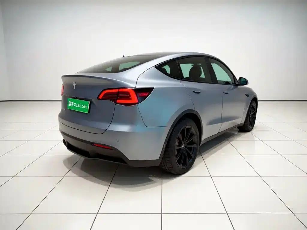 Model Y 2022 Rear-Wheel Drive — миниатюра 6