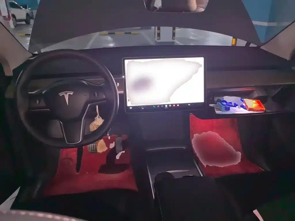 Model Y 2022 Rear-Wheel Drive — миниатюра 10