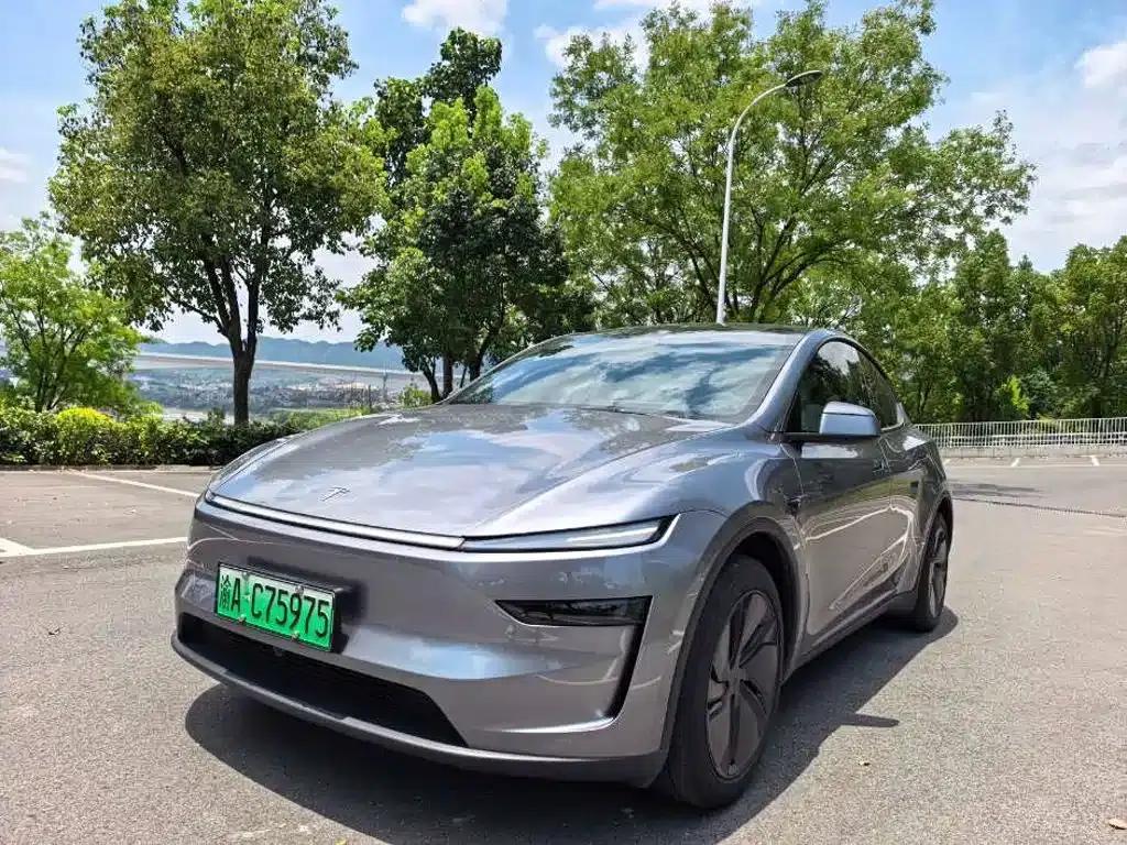 Model Y 2025 Rear-Wheel Drive — миниатюра 1