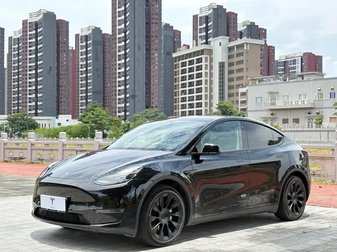 Model Y 2021 Standard Range Rear-Wheel Drive — миниатюра 1