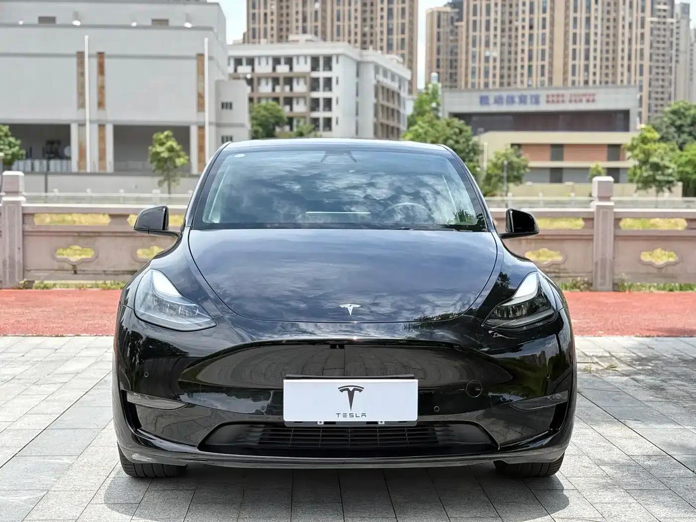 Model Y 2021 Standard Range Rear-Wheel Drive — миниатюра 2