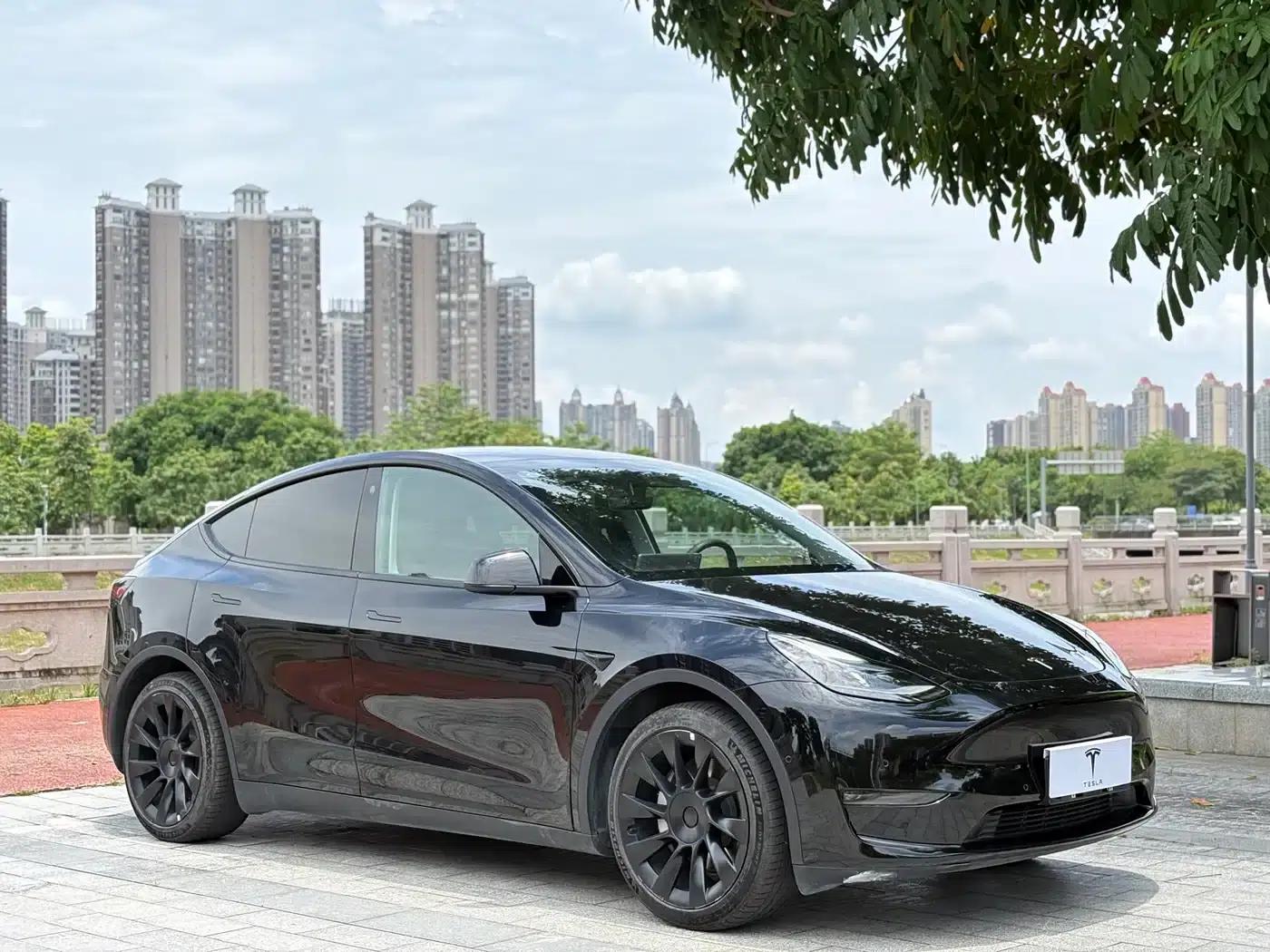 Model Y 2021 Standard Range Rear-Wheel Drive — миниатюра 3