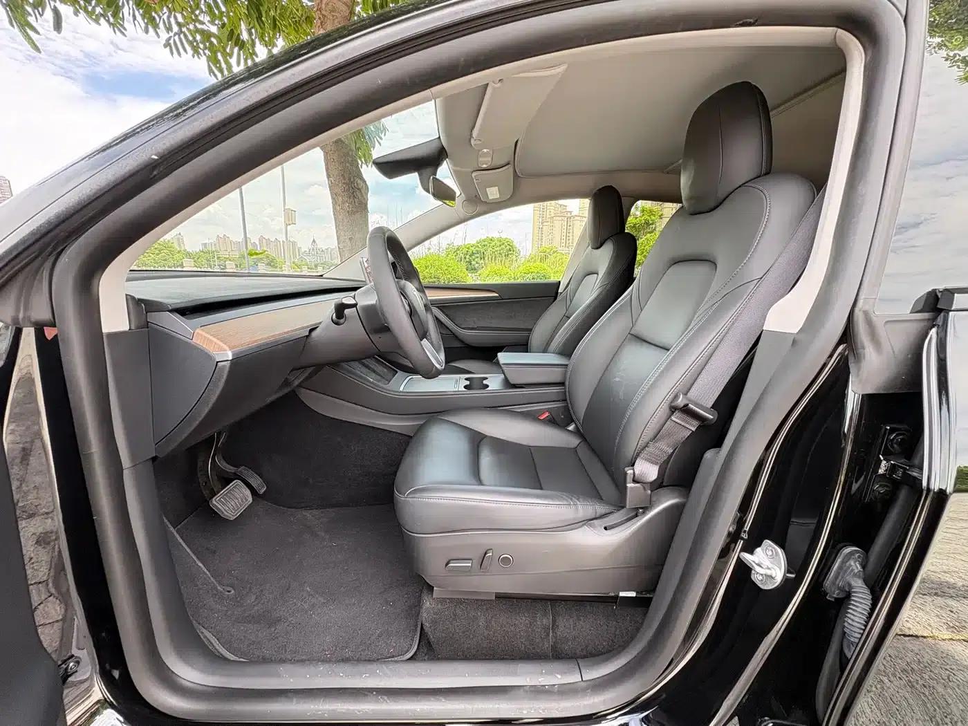 Model Y 2021 Standard Range Rear-Wheel Drive — миниатюра 4