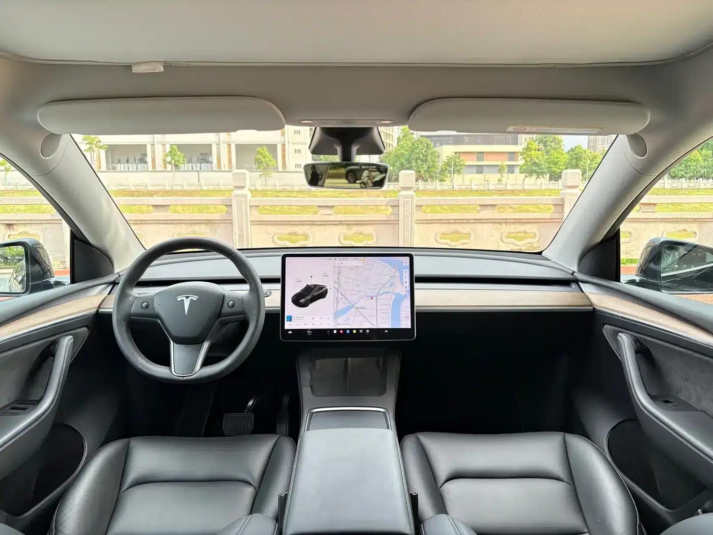 Model Y 2021 Standard Range Rear-Wheel Drive — миниатюра 5