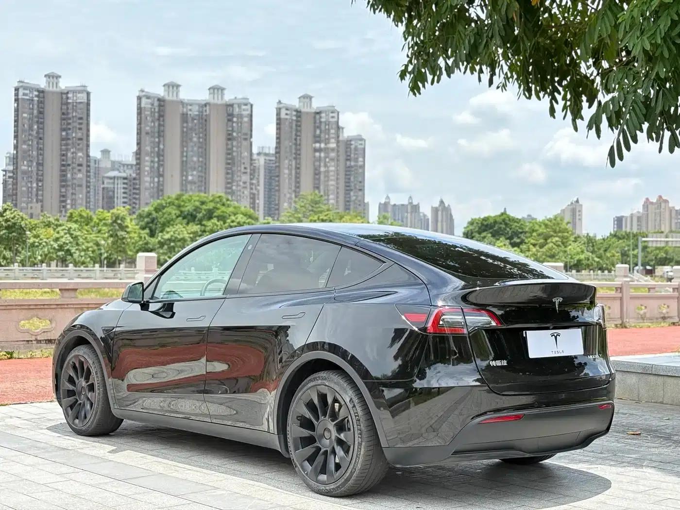 Model Y 2021 Standard Range Rear-Wheel Drive — миниатюра 7