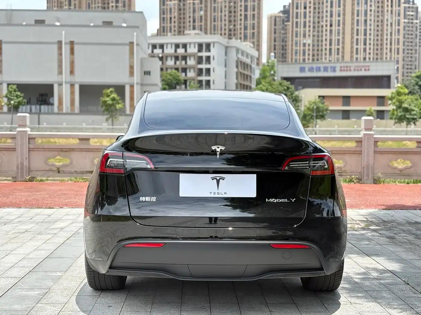 Model Y 2021 Standard Range Rear-Wheel Drive — миниатюра 8