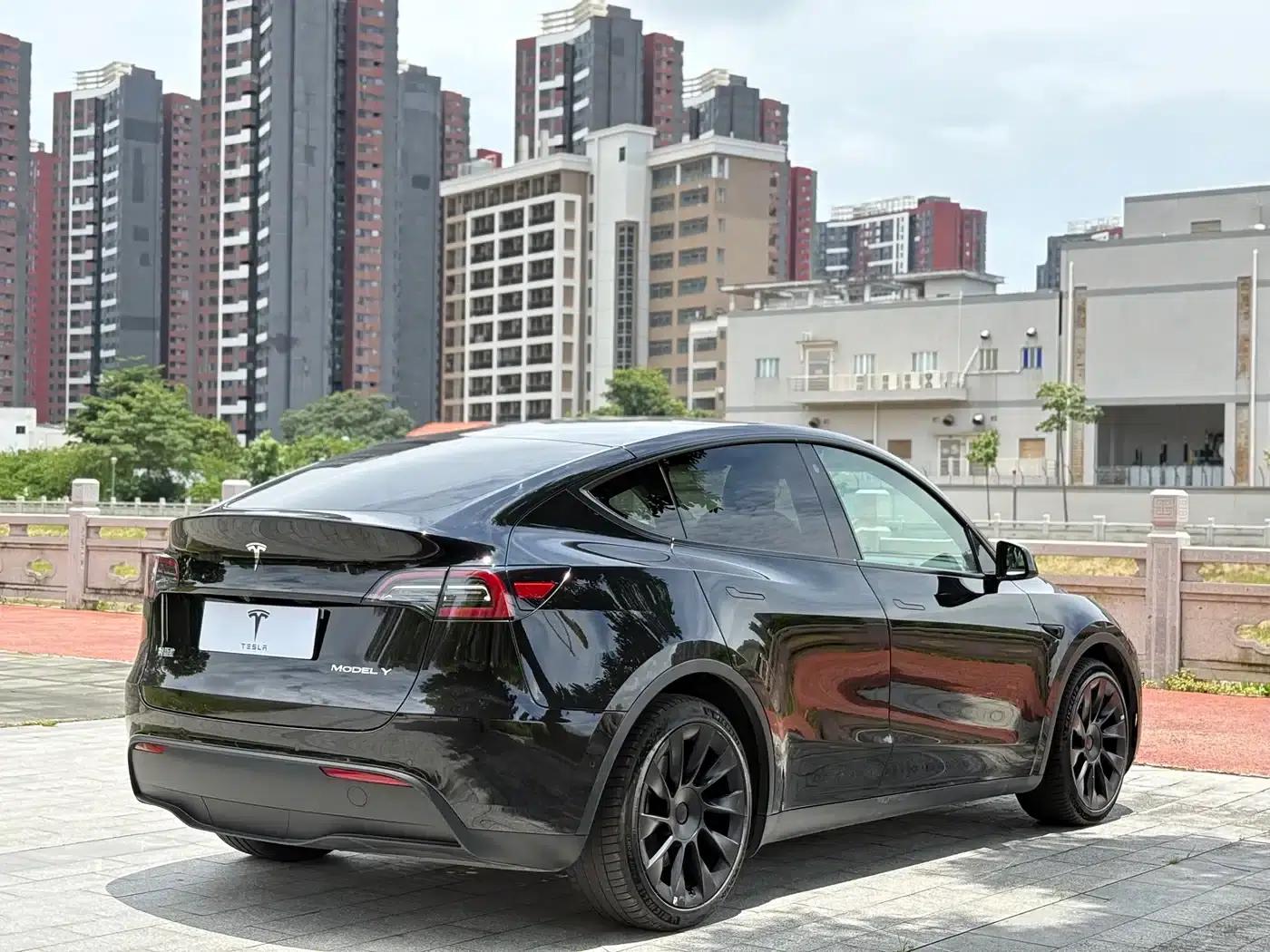 Model Y 2021 Standard Range Rear-Wheel Drive — миниатюра 9